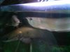 DSC00441.JPG