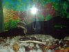 DSC00650.JPG