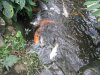 IMG_0108.jpg