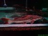 DSC00425.JPG