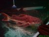 DSC00427.JPG