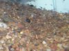 Feb-'08 065.jpg