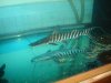 DSC01795.JPG