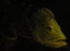 DSC_9643.JPG