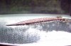 100_3196.JPG