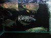 xxx206 014 copy.jpg