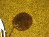 IMG_1128.JPG