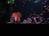 DSCN2753.JPG