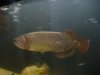 08 006.jpg 08 006.jpg