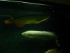 DSC03182.JPG