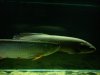 DSC03192.JPG