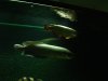DSC03177.JPG
