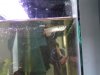 Fish 048.jpg