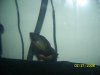 100_3990.jpg