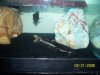 100_3989.jpg