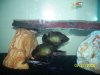 100_3978.jpg