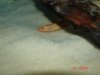 DSC01224.JPG