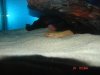 DSC01220.JPG