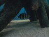 DSC00017.JPG