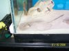 100_0555.JPG