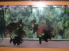 IMG_0375.JPG