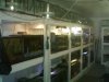 2007_0921fishrm0030.JPG