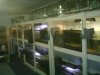 2007_0921fishrm0063.JPG