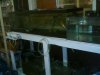 2007_0921fishrm0060.JPG