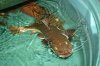 seaworld yaya 489.jpg seaworld yaya 489.jpg