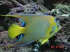 DSC08148.JPG