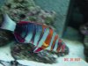DSC08157.JPG