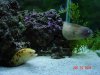 DSC08664.JPG