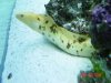 DSC08557.JPG
