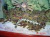 DSC07177.JPG