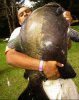 pacu record holder.jpg pacu record holder.jpg