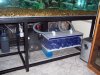 100_0816.JPG