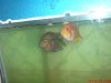 DSC03805.JPG