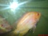 DSC03806.JPG