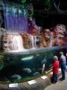 RainForest8.JPG