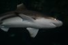 vegas and such 108.jpg