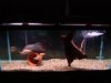 Mar '08 050.jpg