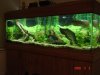 DSC04641.JPG