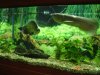 DSC04642.JPG