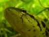 DSC03693.JPG
