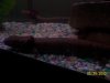 100_2679.JPG