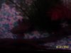 100_2687.JPG