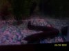100_2681.JPG