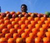 oranges2.jpg