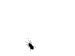 avatar7265_4.gif
