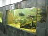 IMG_4145 Tank 7c.JPG